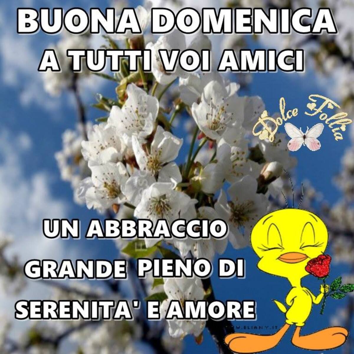 Buona Domenica a tutti voi amici un abbraccio grande pieno di serenità e amore