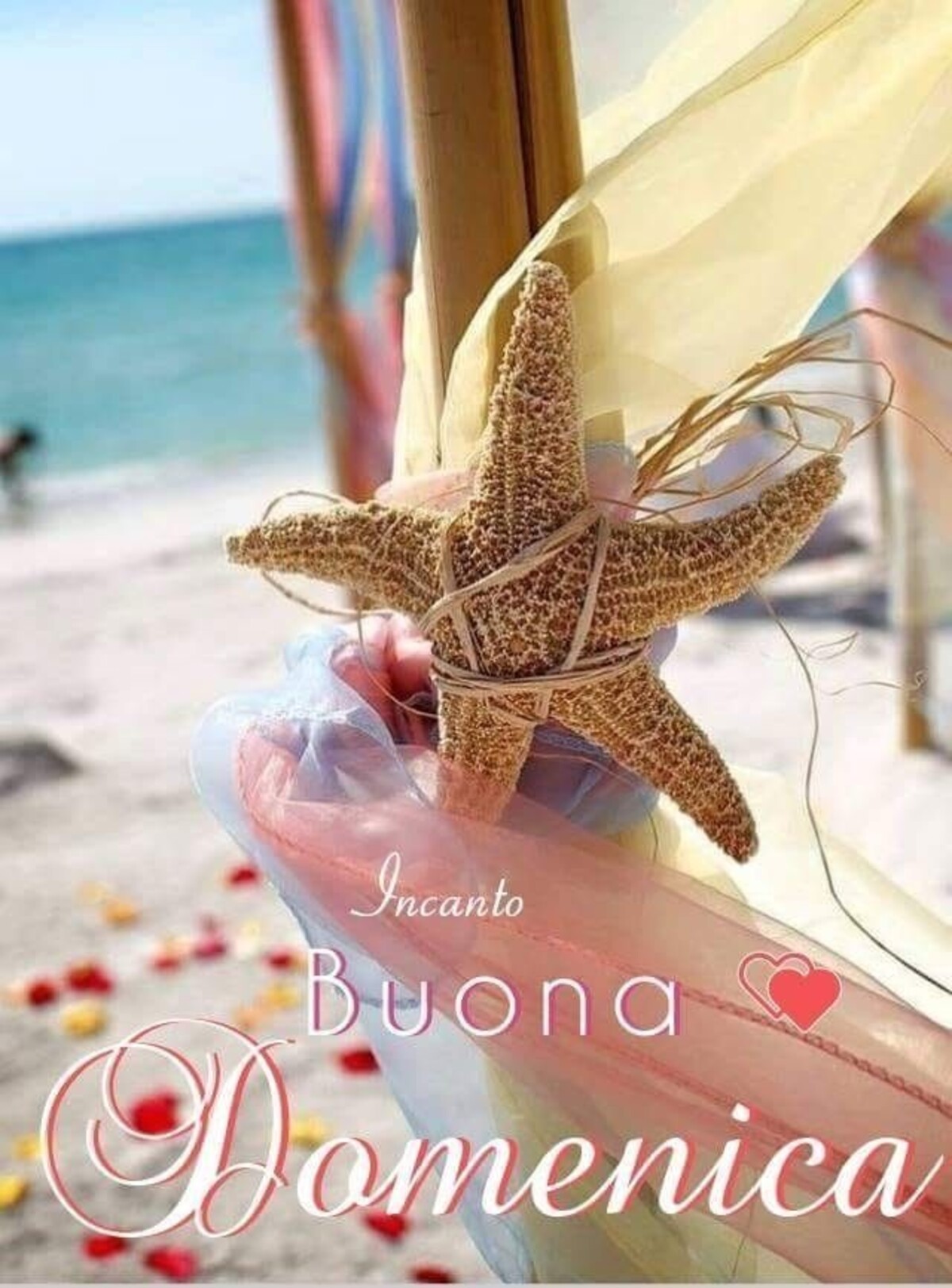 Buona Domenica