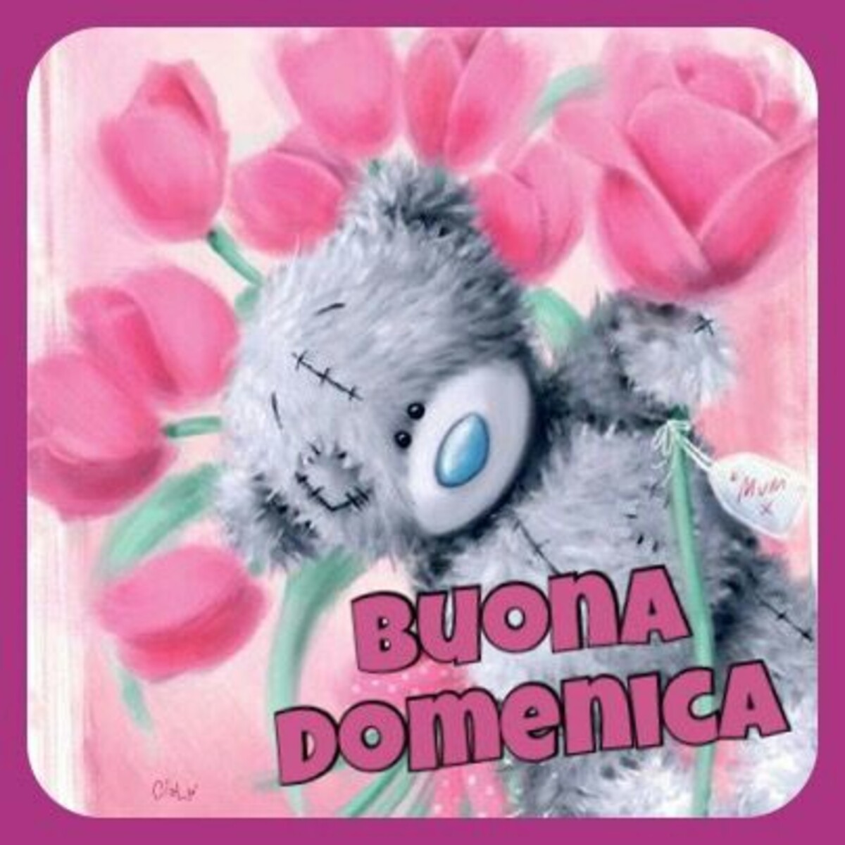 Buona Domenica