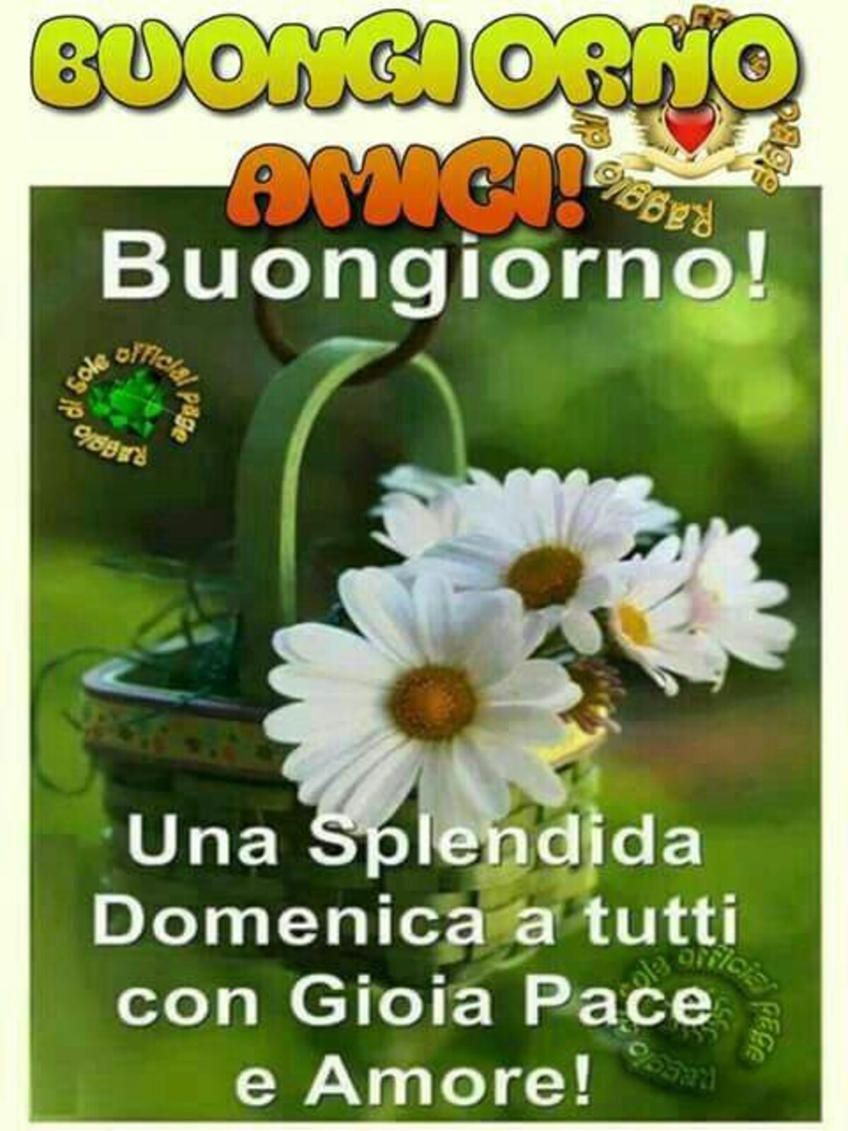 Buongiorno amici! Buongiorno! una splendida domenica a tutti con Gioia Pace e Amore