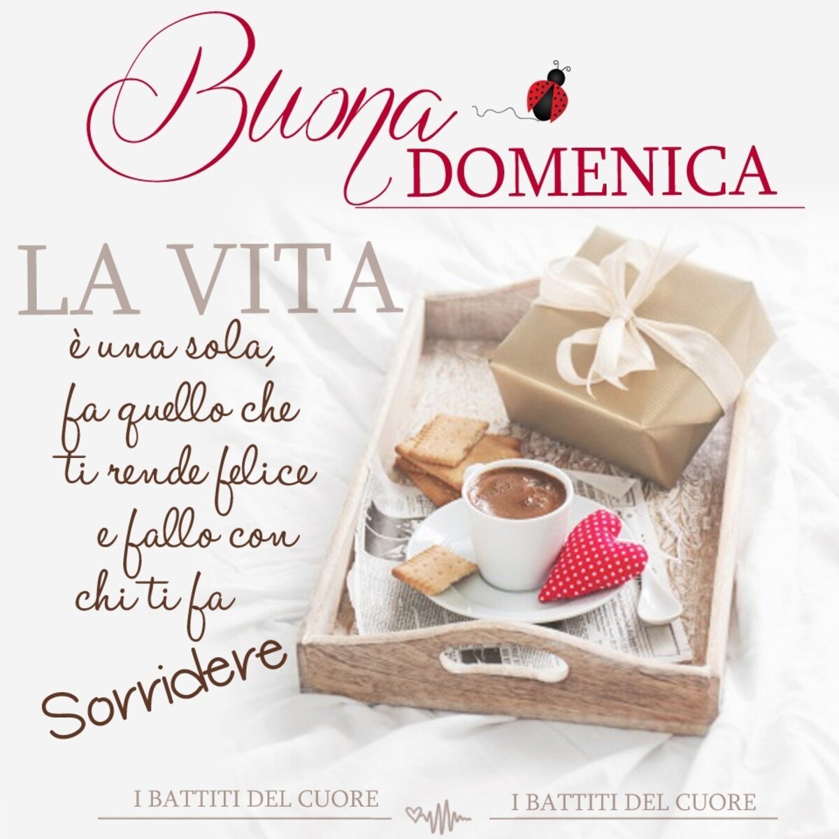 Buona Domenica la vita è una sola, fa quello che ti rende felice e fallo con chi ti fa sorridere