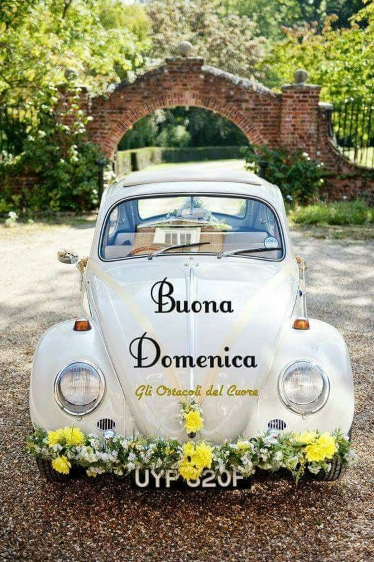 Buona Domenica