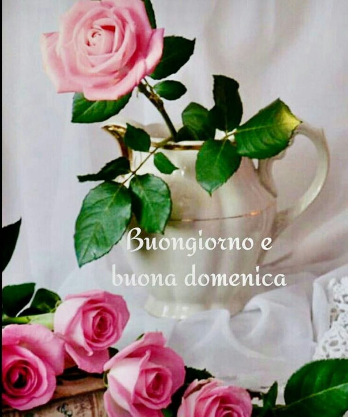 Buongiorno e Buona Domenica