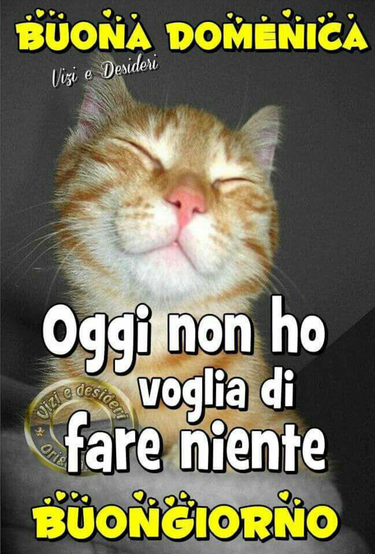 Buona Domenica oggi non ho voglia di fare niente Buongiorno