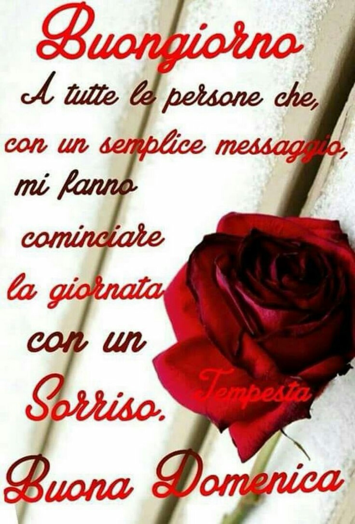 Buongiorno a tutte le persone che con un semplice messaggio, mi fanno cominciate la giornata con un sorriso