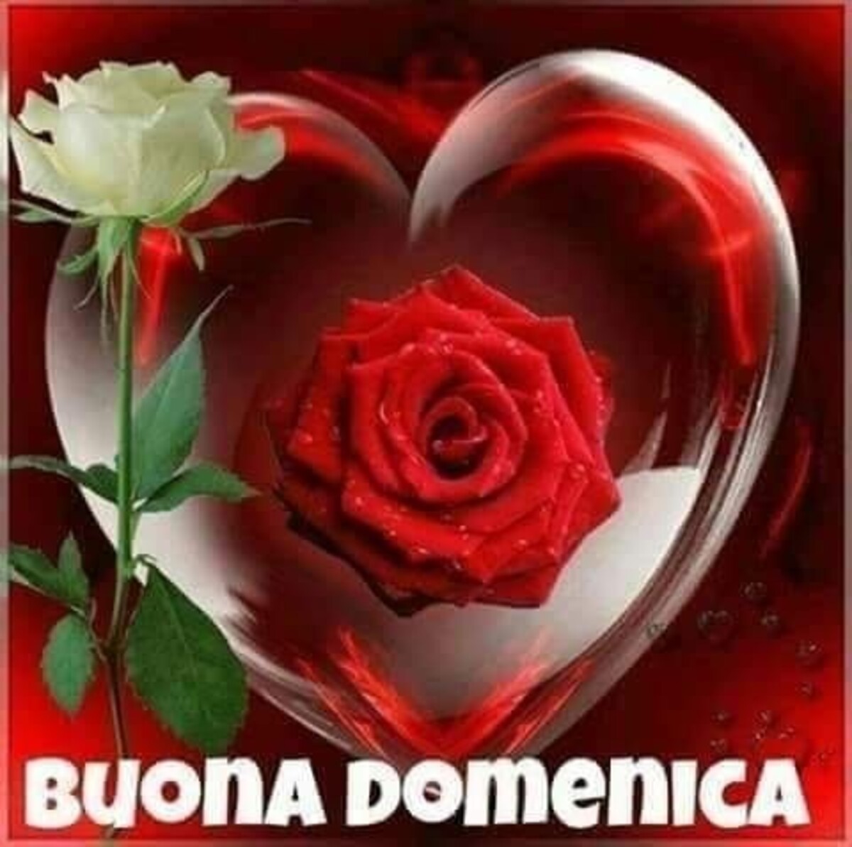 Buona Domenica