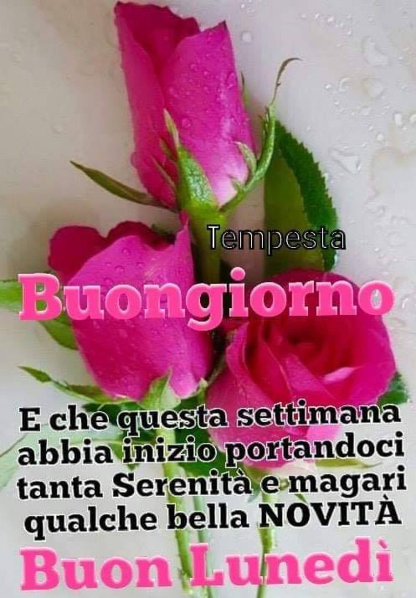 Buongiorno e che questa settimana abbia inizio portandoci tanta serenità magari qualche bella novità Buon Lunedì