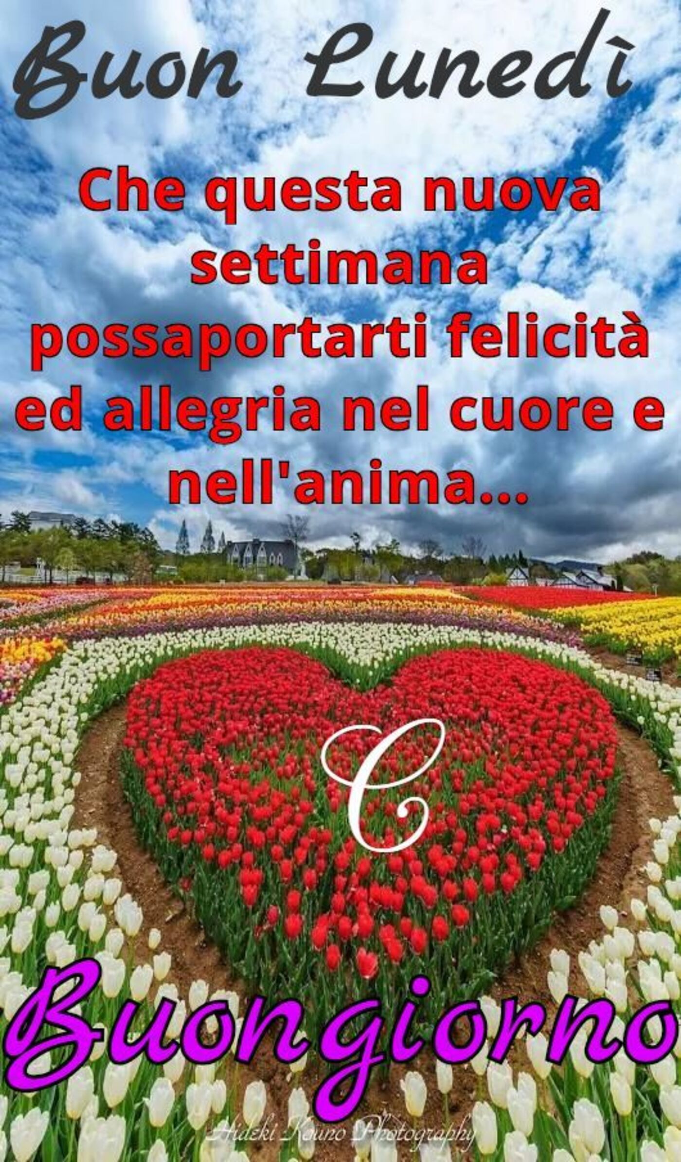 Buon lunedì che questa nuova settimana possa portarti felicità ed allegria nel cuore e nell'anima! Buongiorno
