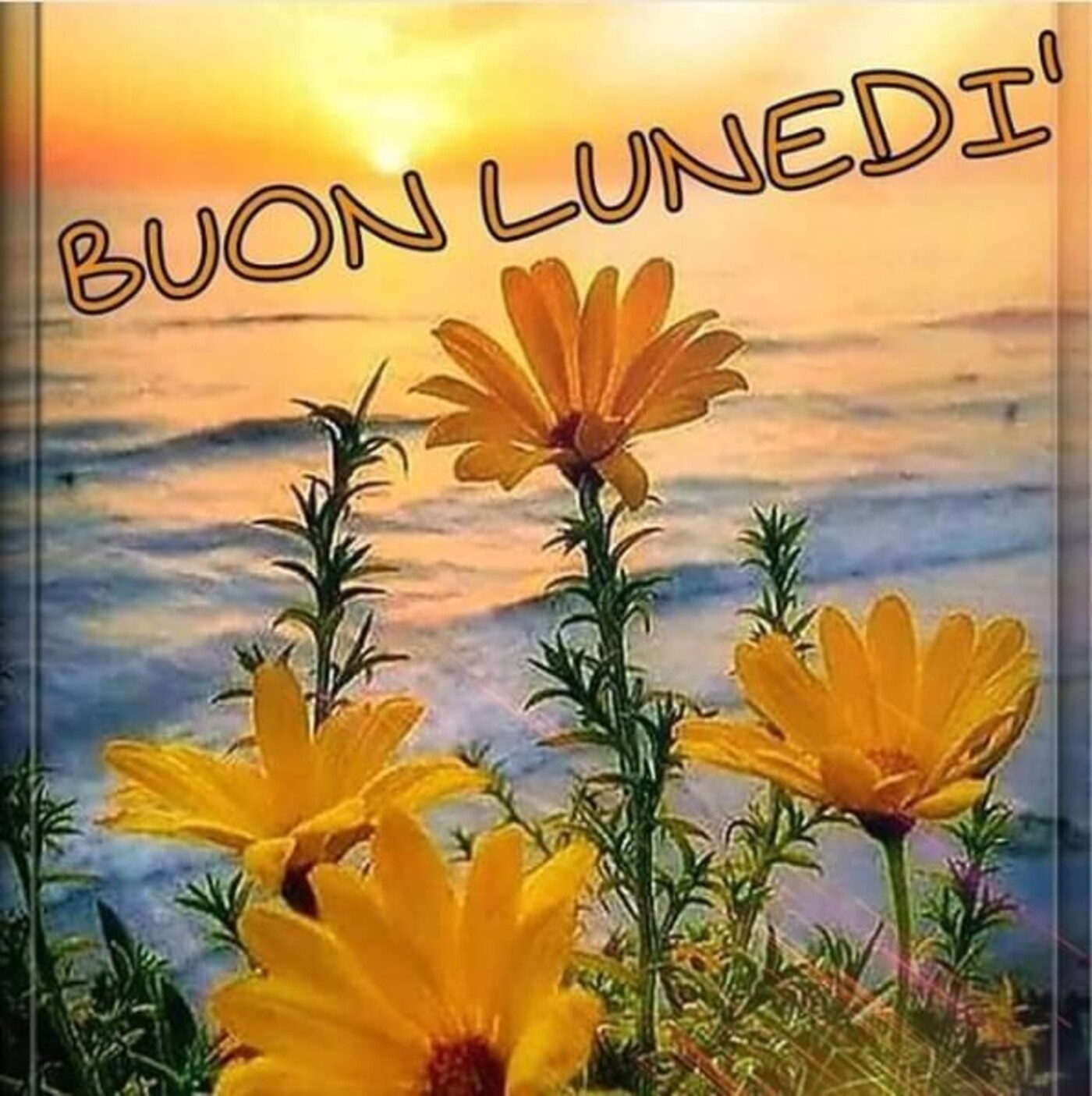 Buon Lunedì