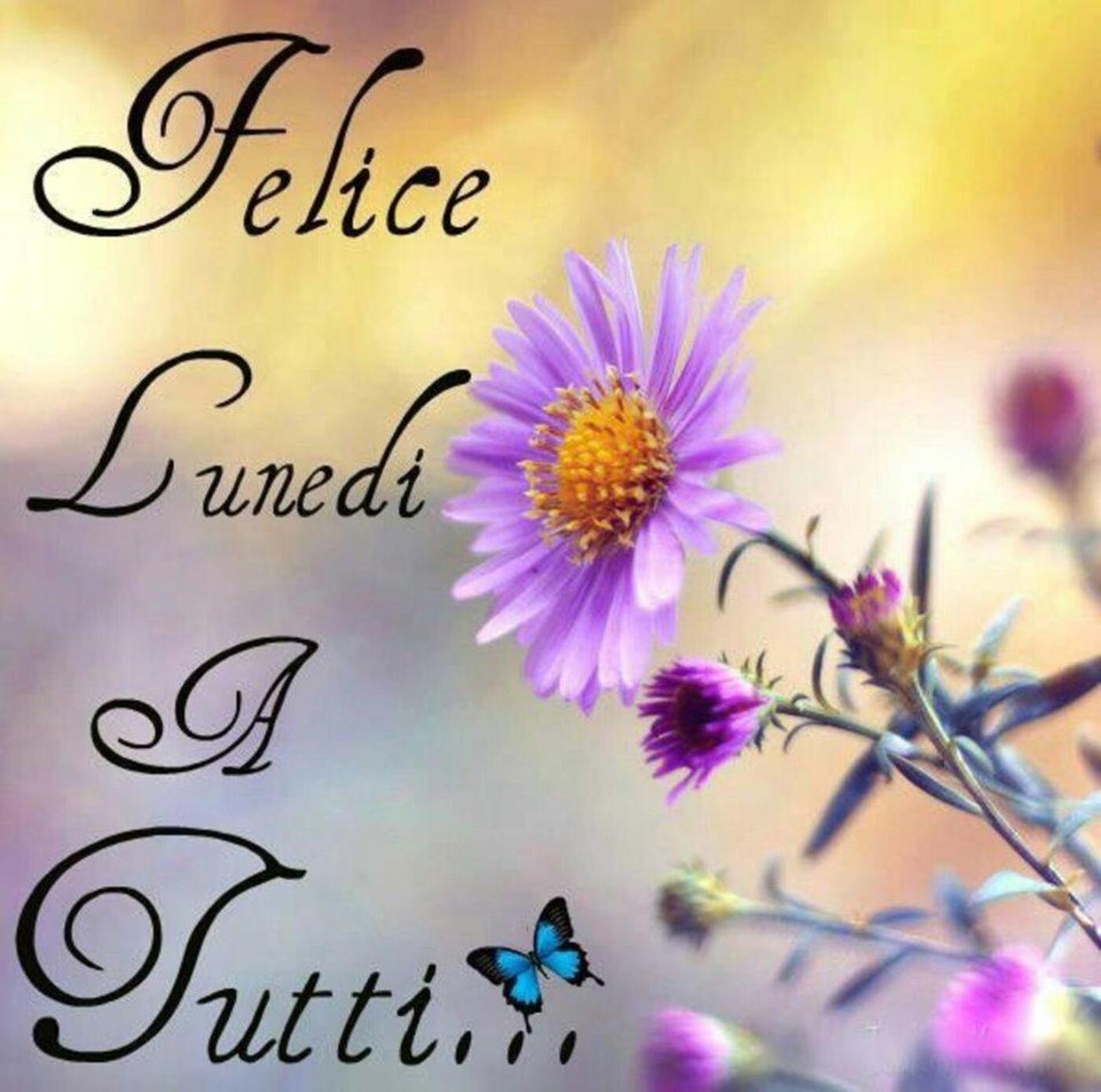 Felice lunedì a tutti