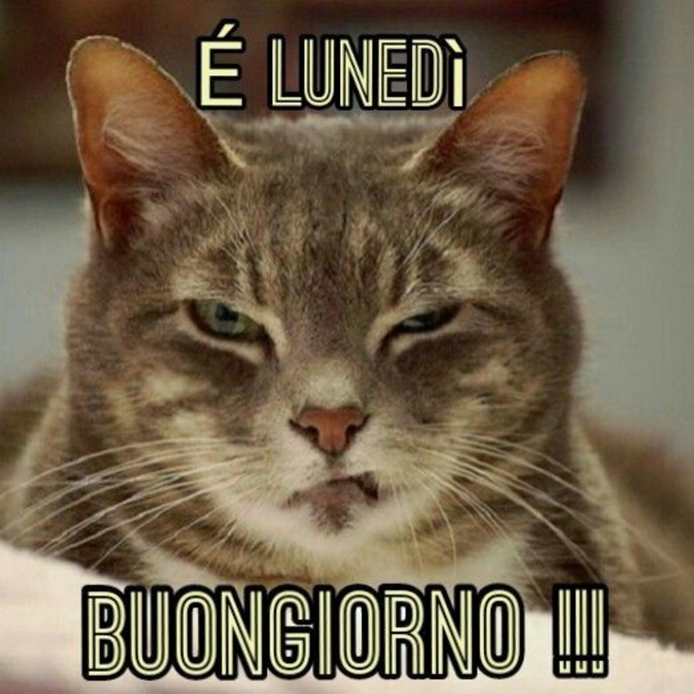 E' lunedì...Buongiorno!!!