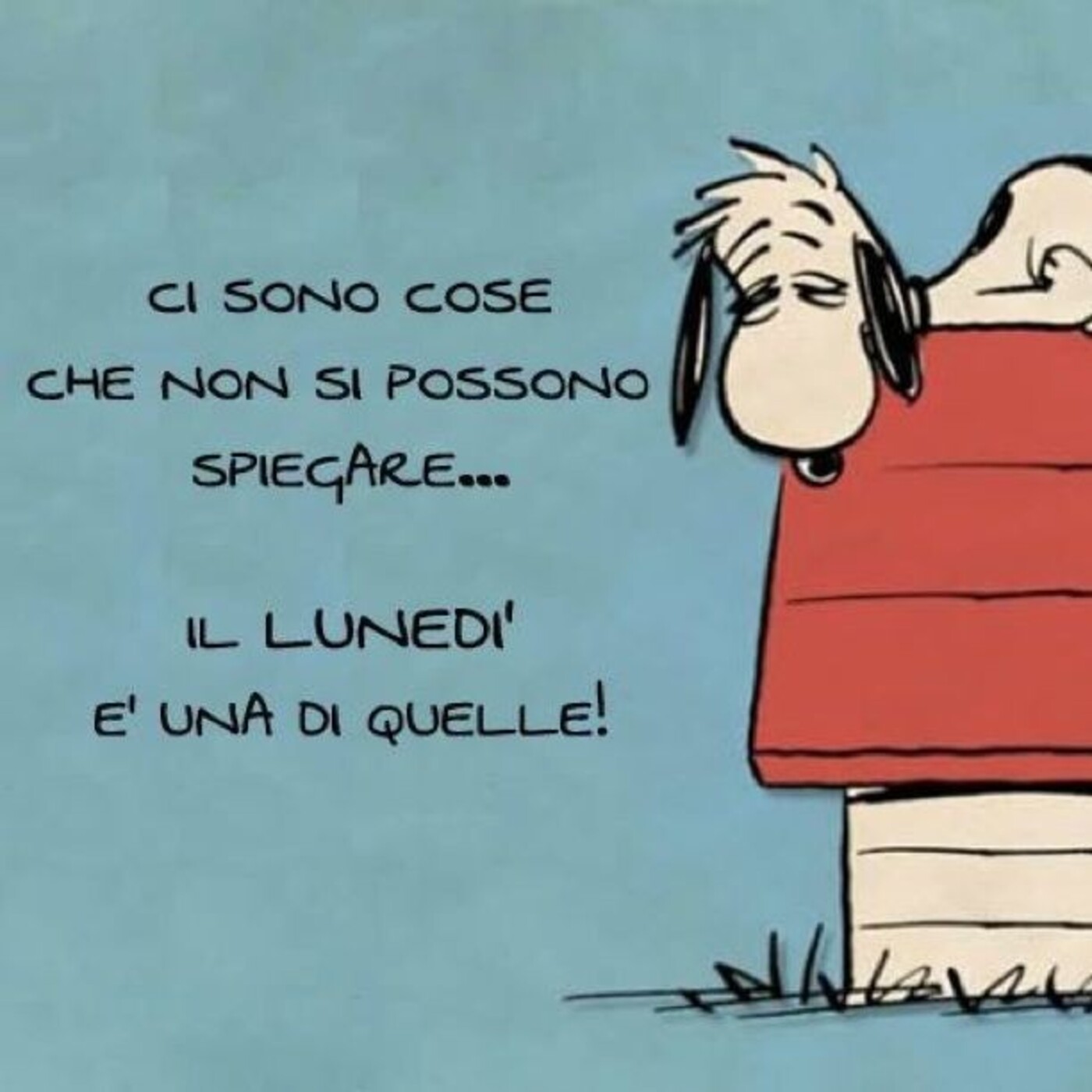 Ci sono cose che non si possono spiegare...il lunedì è una di quelle