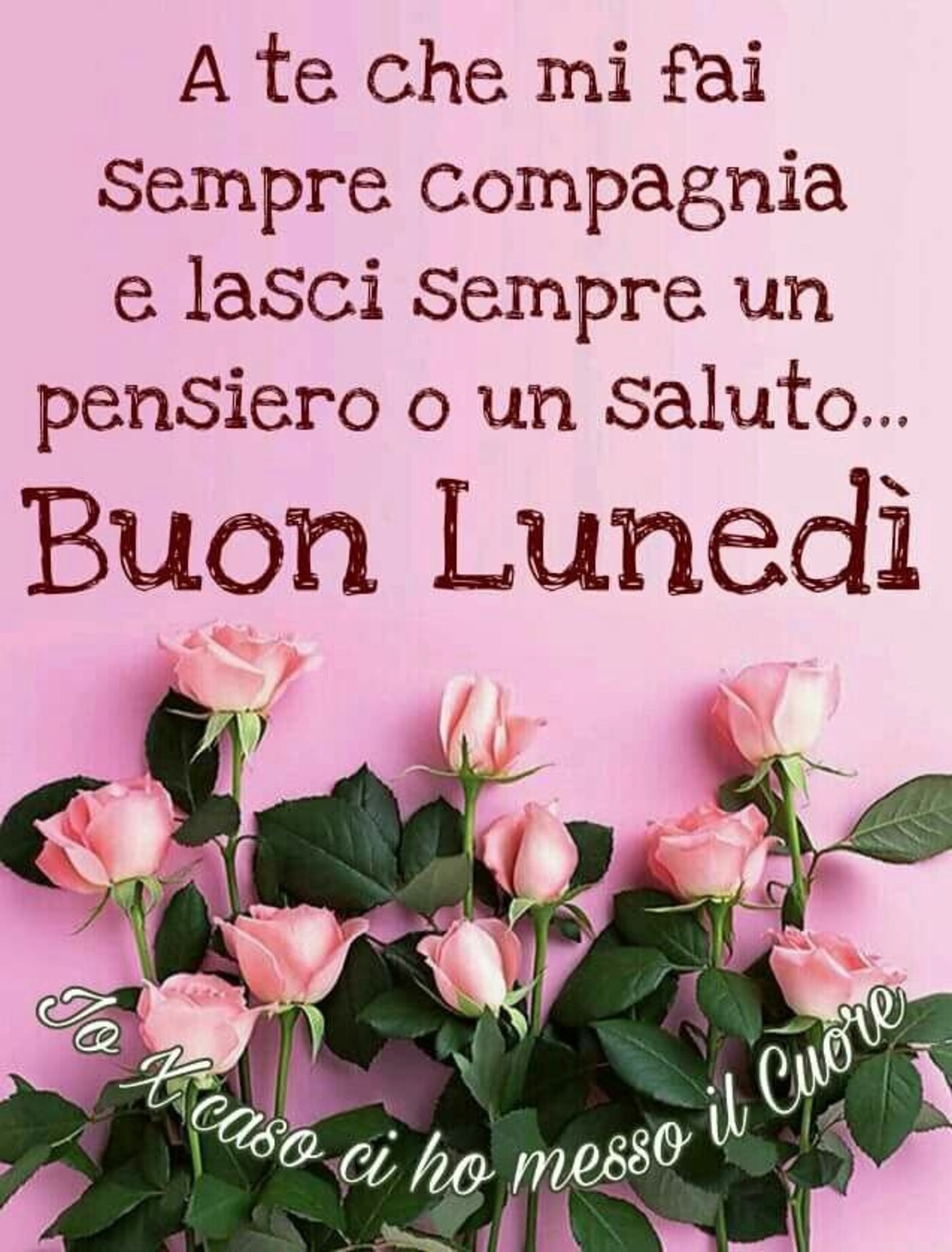 A te che mi fai sempre compagnia e lasci sempre un pensiero o un saluto...Buon Lunedì