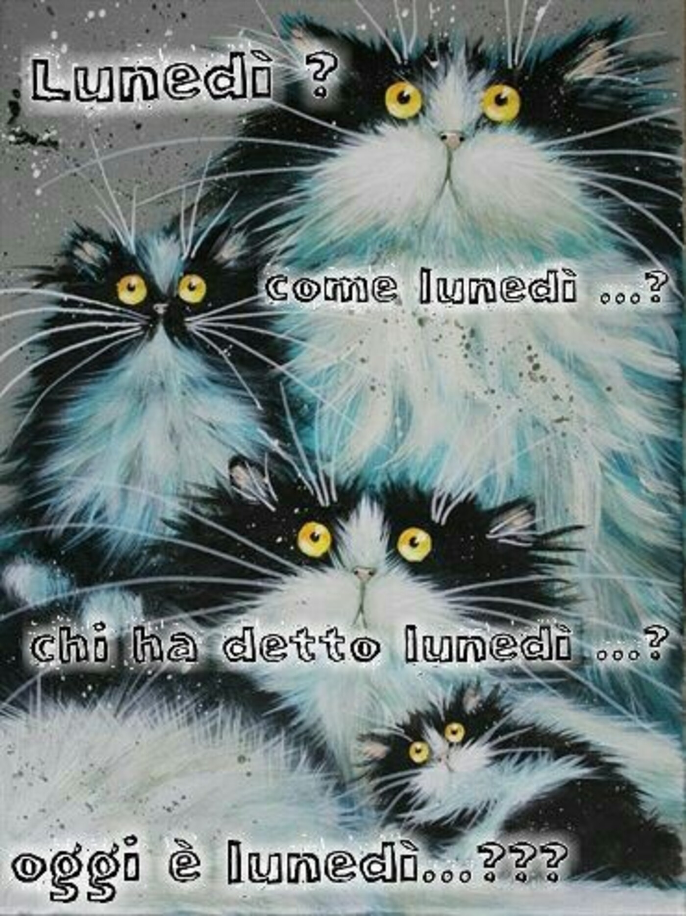 Lunedì? Come lunedì? chi ha detto lunedì? oggi è lunedì!!!