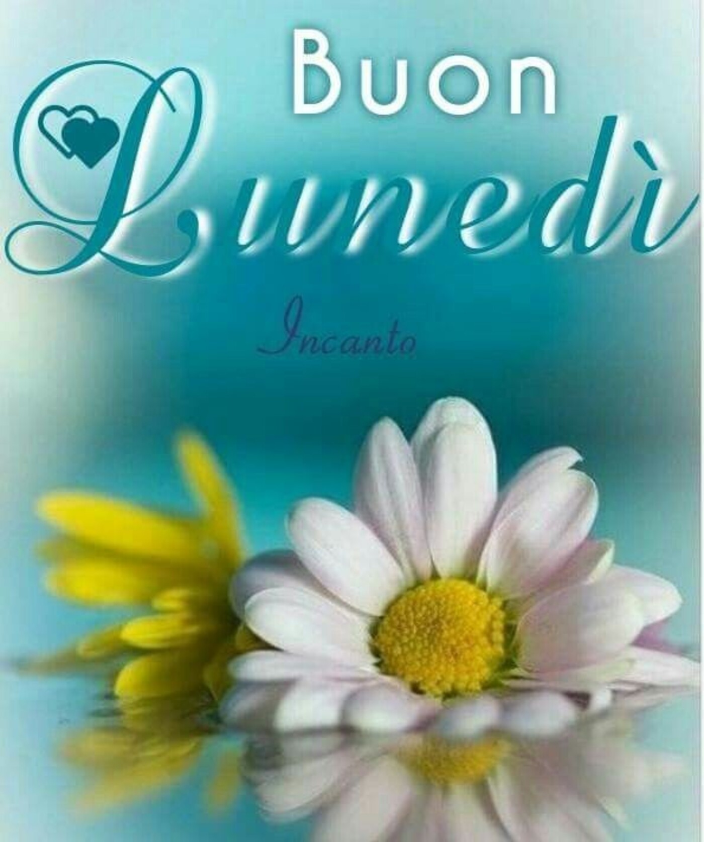 Buon Lunedì