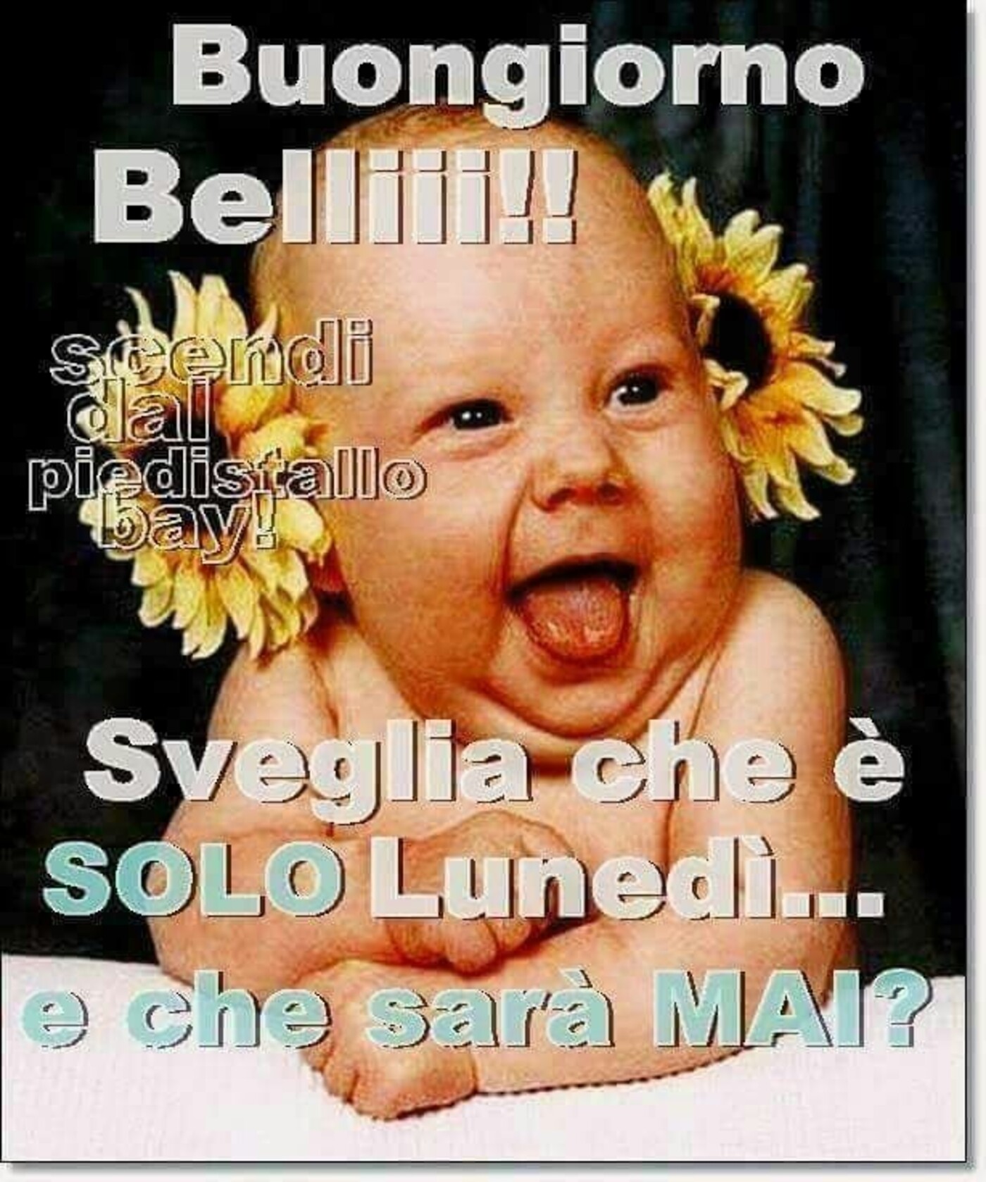 Buongiorno Belli sveglia che è solo lunedì...e che sarà mai?