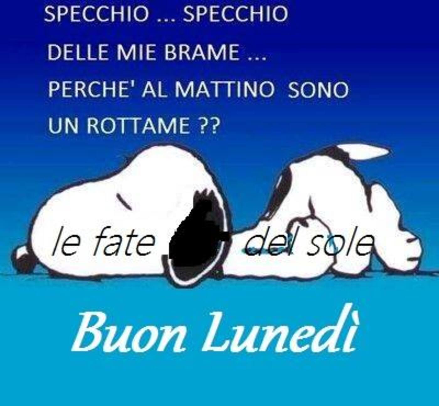 Specchio...specchio...specchio delle mie brame...perchè al mattino sono un rottame? Buon Lunedì