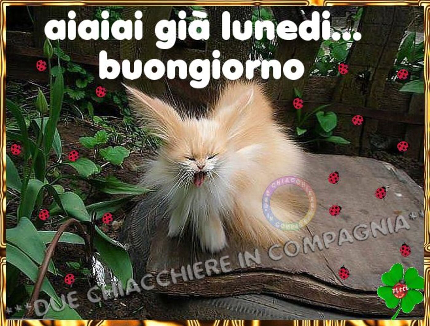 Aiaiai è lunedì...buongiorno