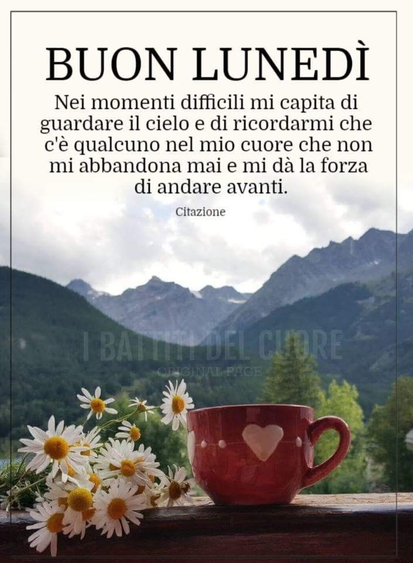 Buon Lunedì frasi