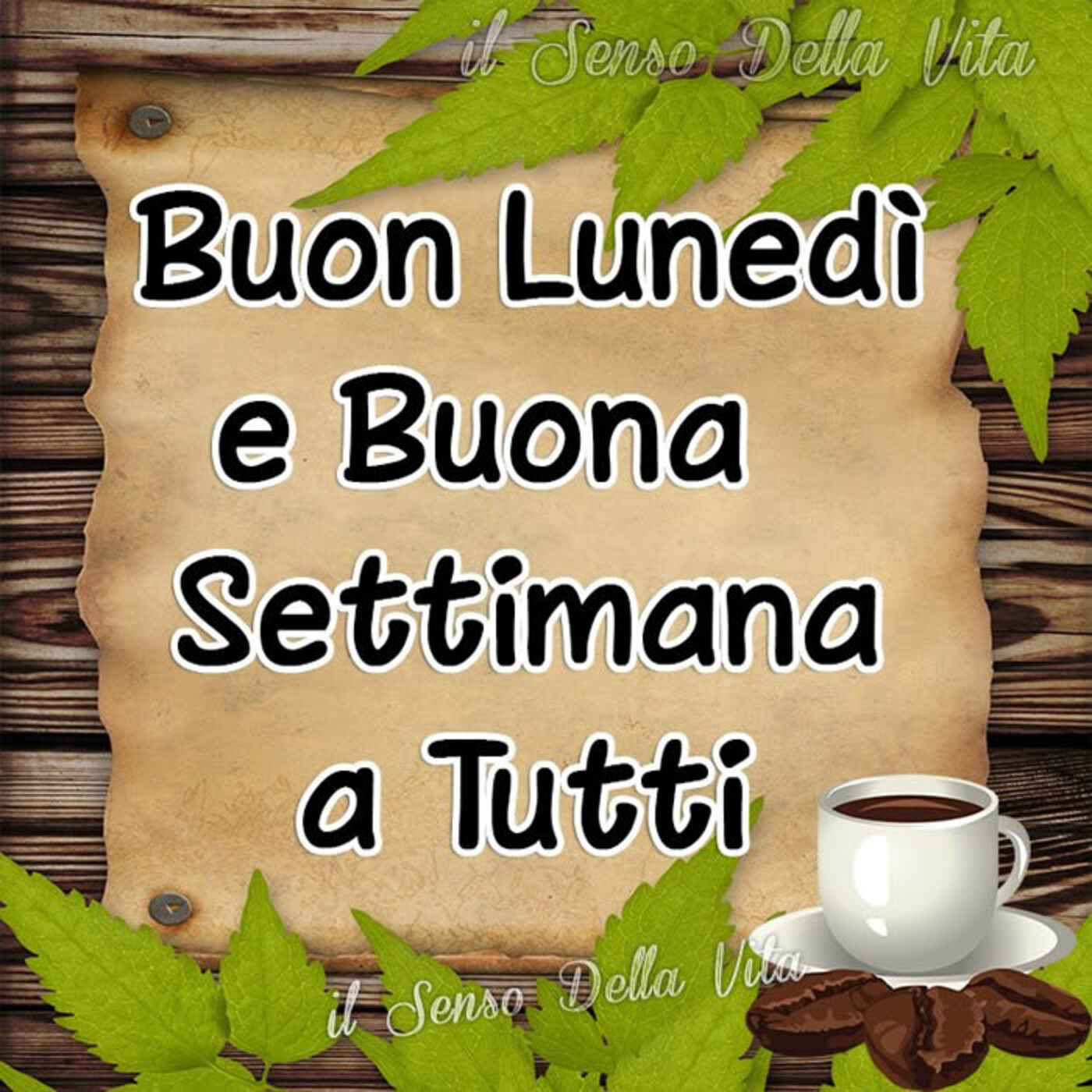 Buon Lunedì e Buona Settimana a tutti