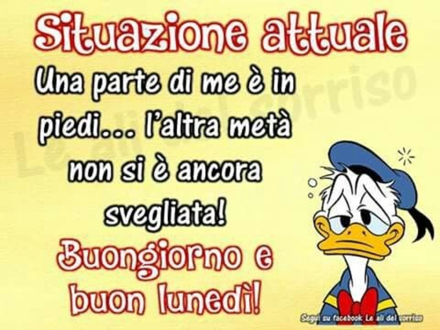 Situazione attuale una parte di me è in piedi...l'altra metà non si è ancora svegliata! Buongiorno e buon lunedì