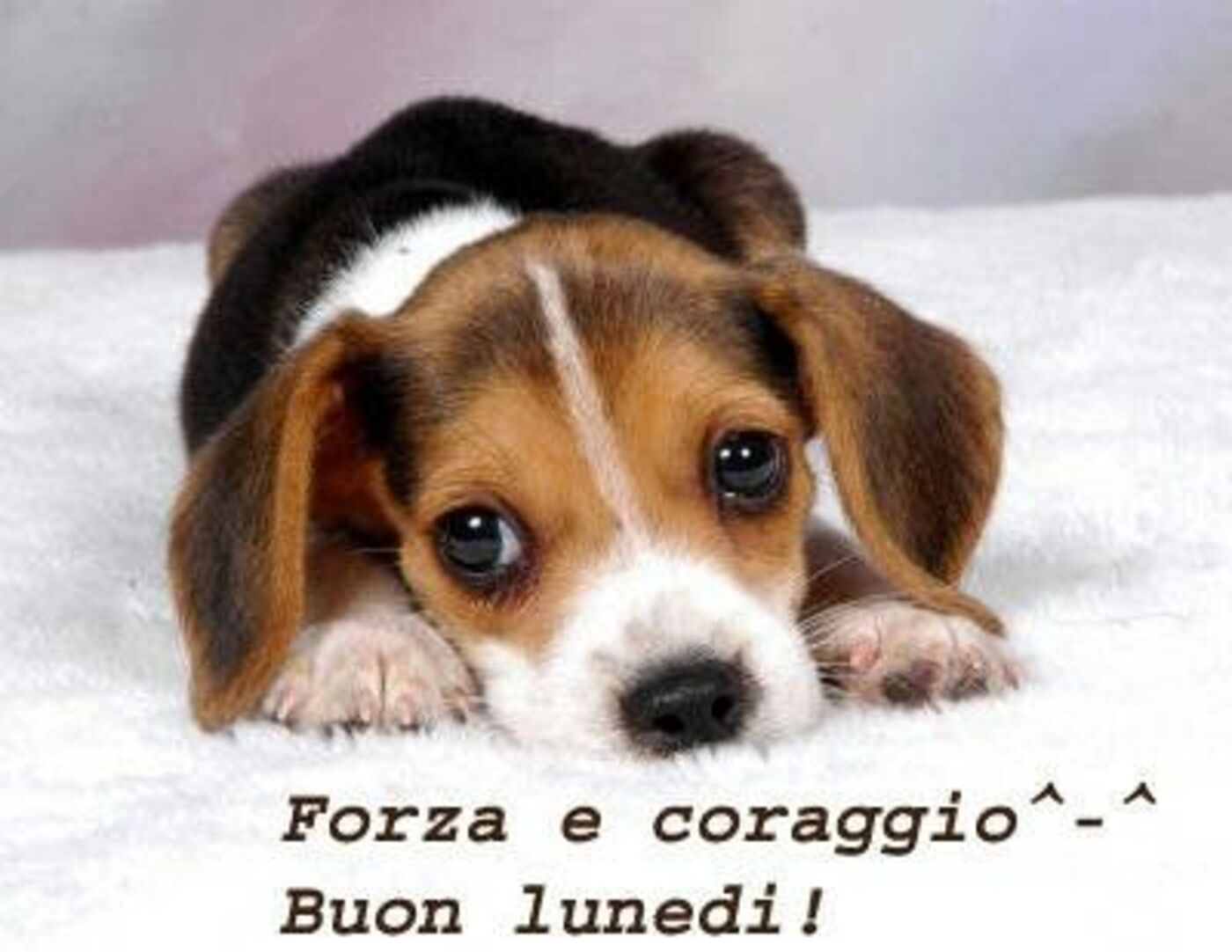 Forza e coraggio! Buon Lunedì