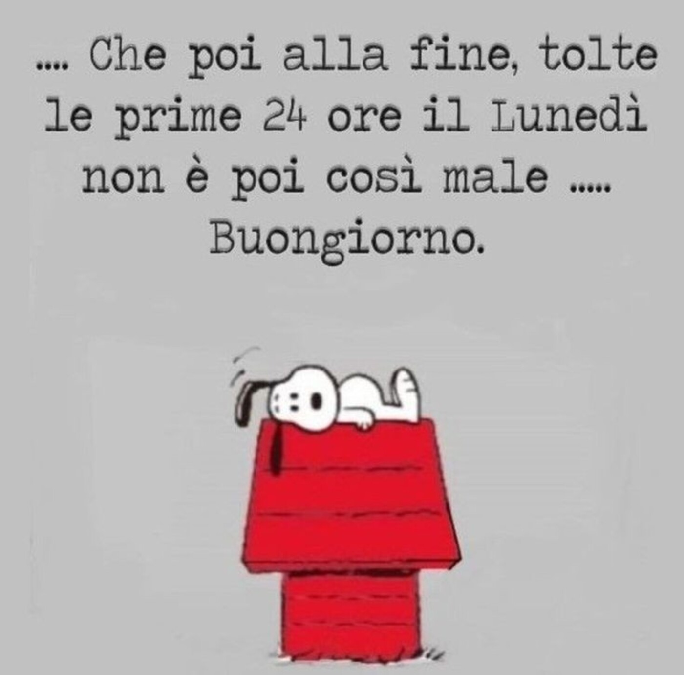 Che poi alla fine tolte le prime 24 ore il lunedì non è poi così male...Buongiorno