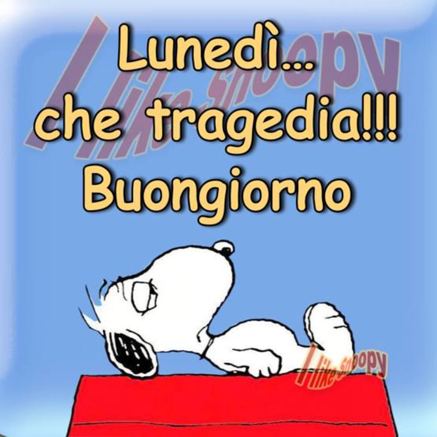 Lunedì...che tragedia!!! Buongiorno