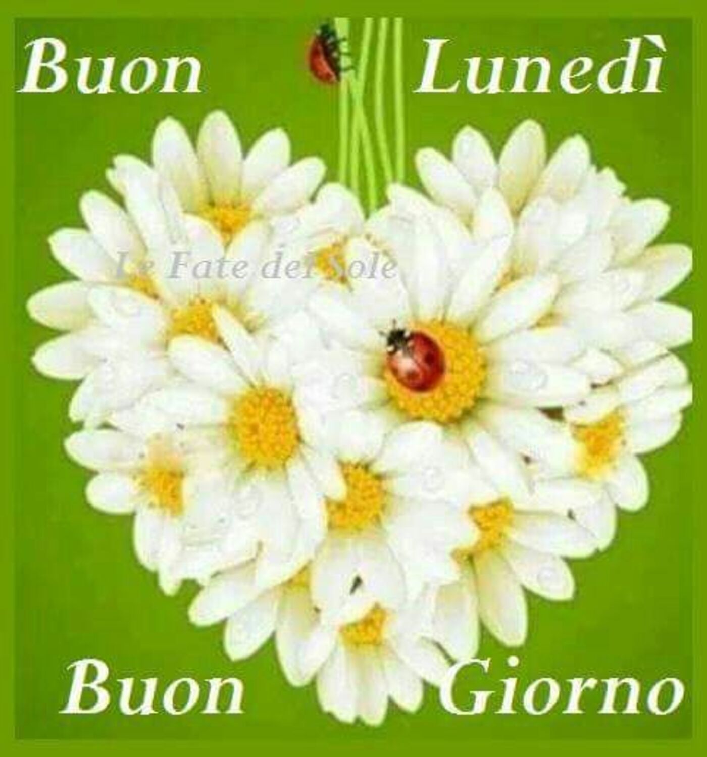 Buon Lunedì buongiorno