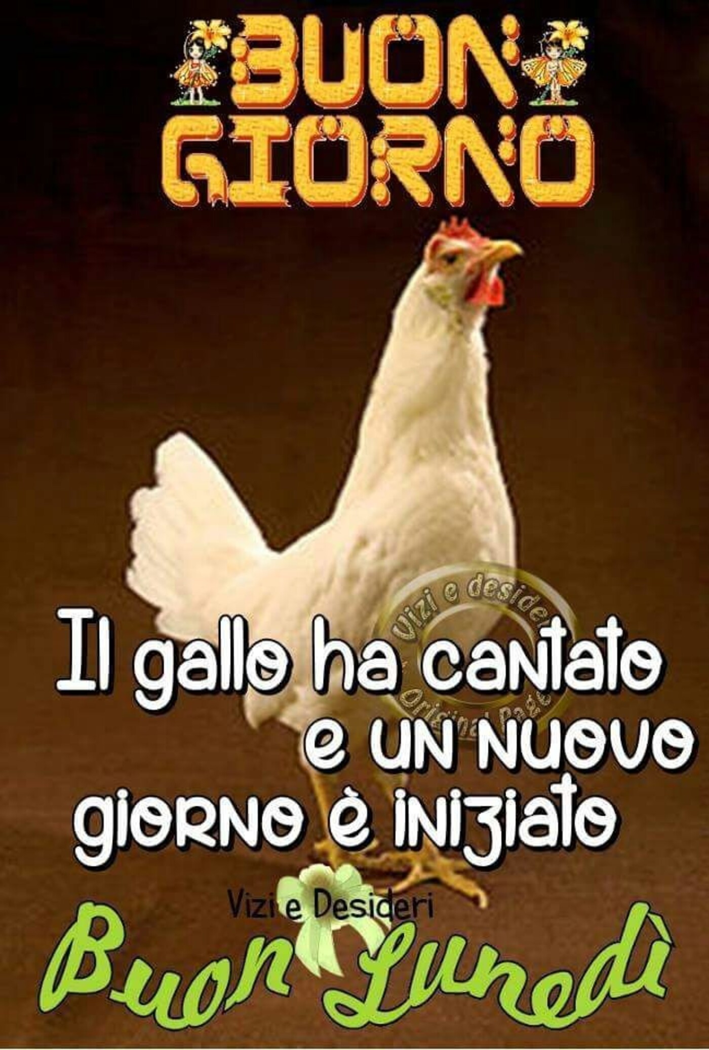 Buongiorno il gallo ha cantato e un nuovo giorno è iniziato Buon Lunedì