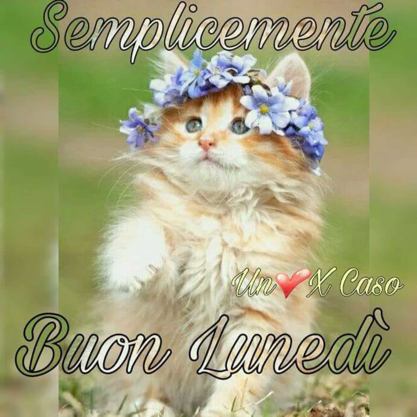 Semplicemente Buon Lunedì