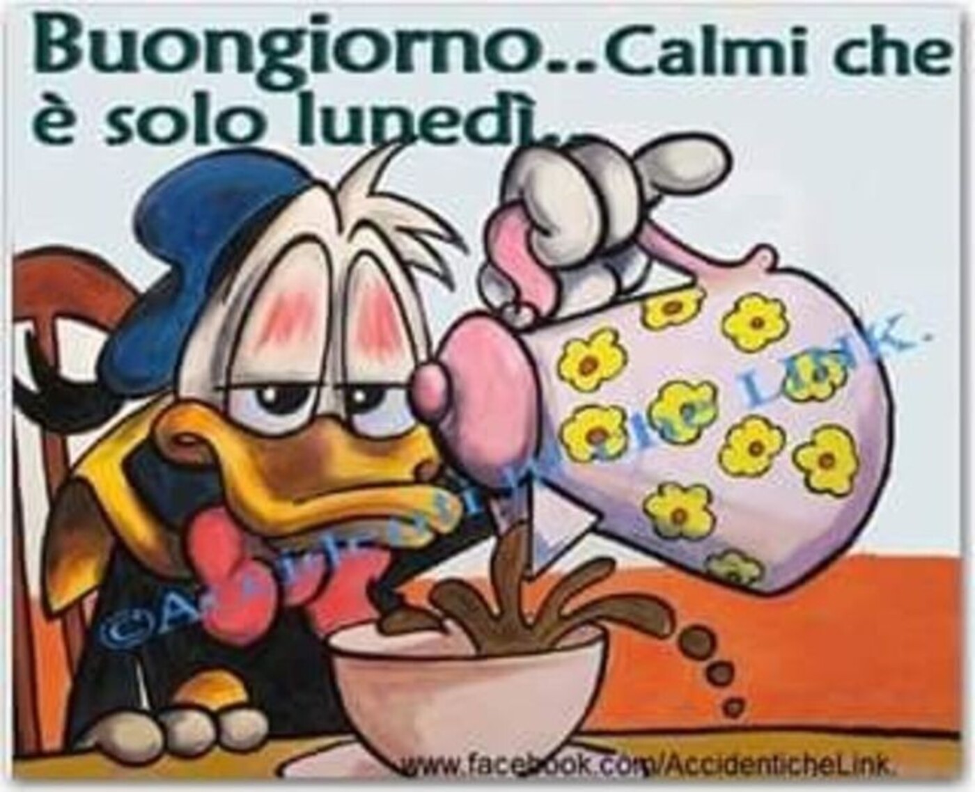 Buongiorno...calmi che è solo lunedì..