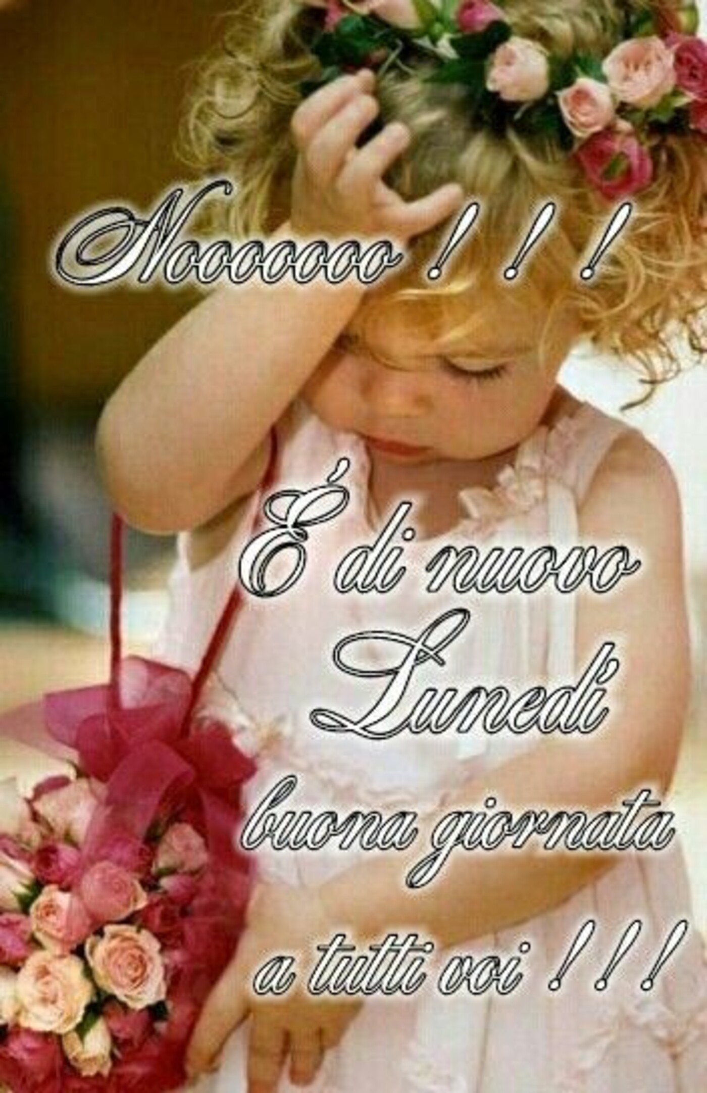 Noooo!!! è di nuovo lunedì buona giornata a tutti voi