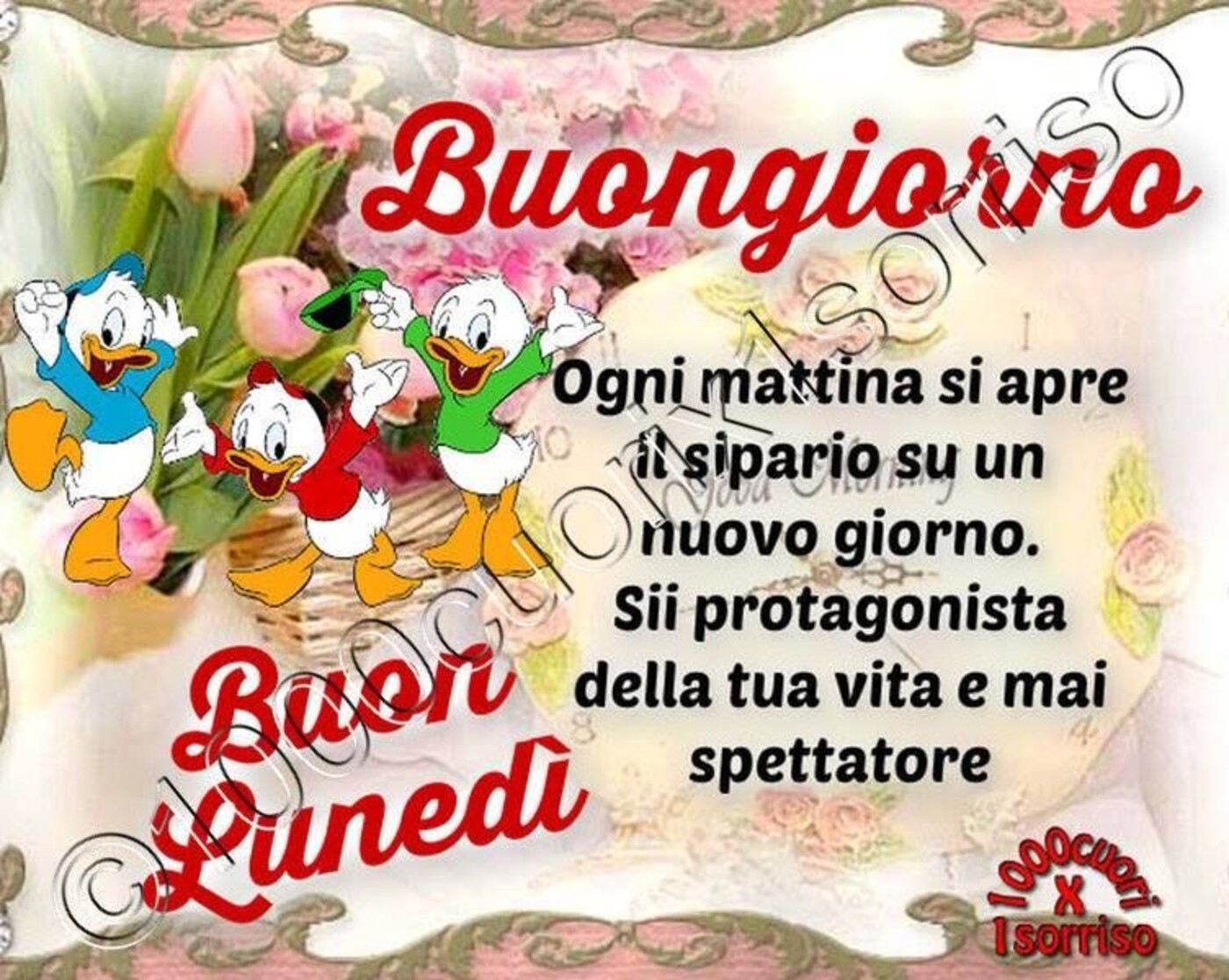 Buongiorno ogni mattina si apre il sipario su un nuovo giorno. Sii protagonista della tua vita e mai spettatore...Buon Lunedì