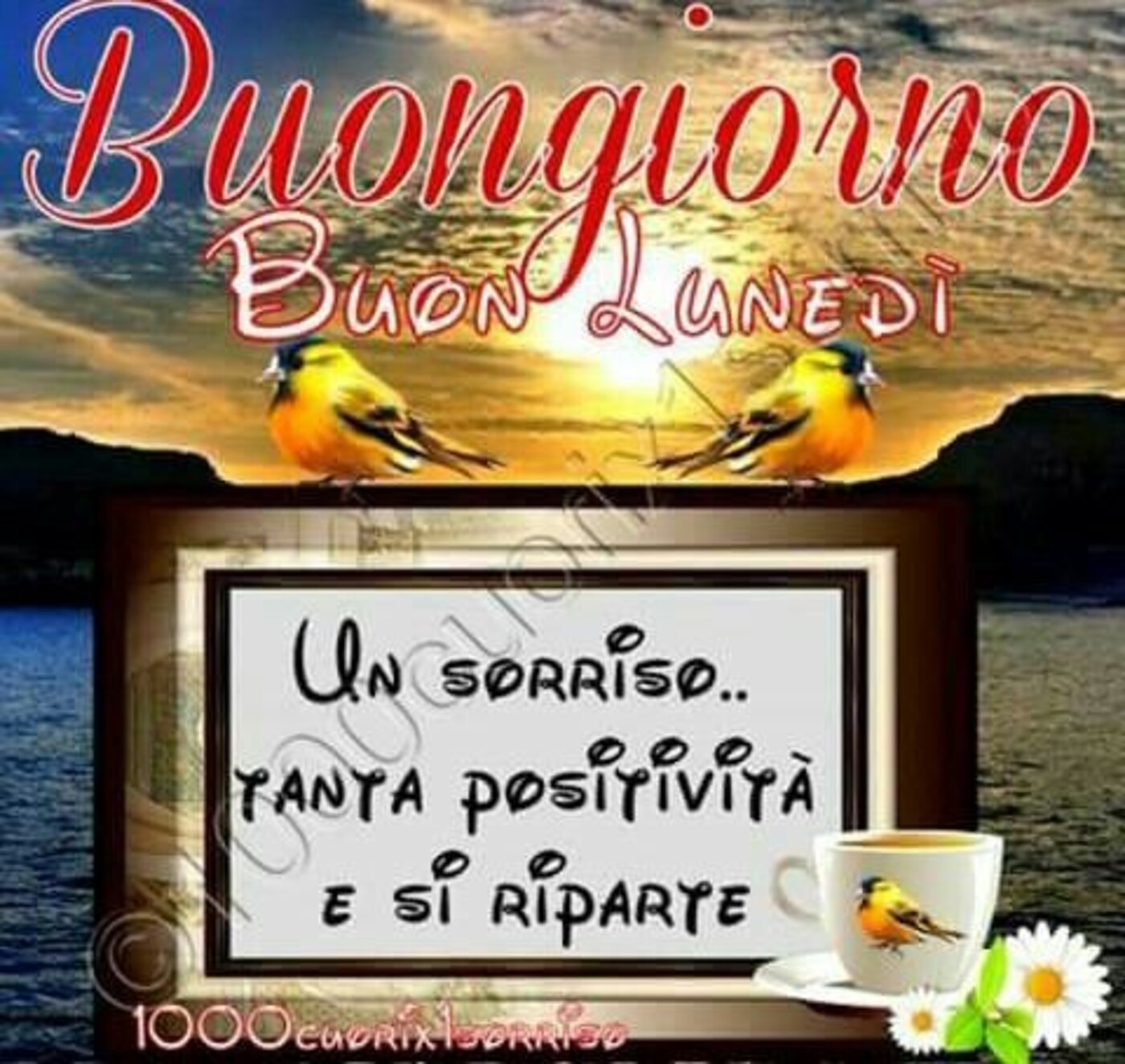 Buongiorno Buon Lunedì un sorriso tanta positività e si riparte