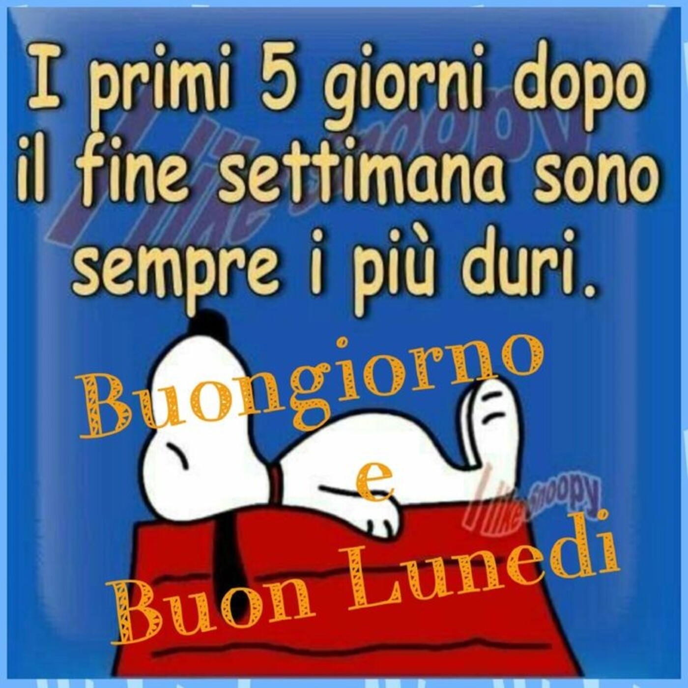I primi 5 giorni dopo il fine settimana sono sempre i più duri. Buongiorno e Buon Lunedì