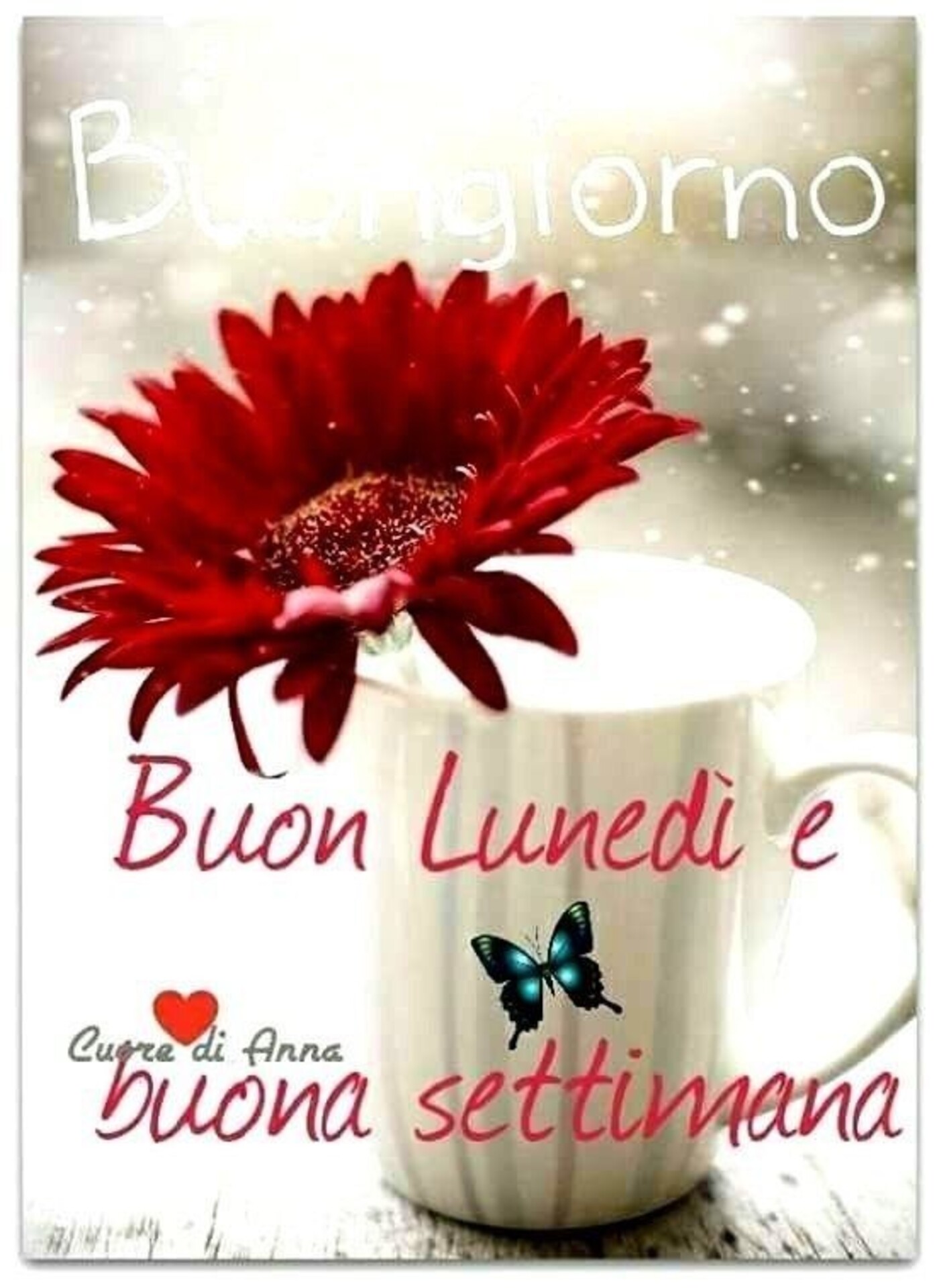 Buon Lunedì e buona settimana