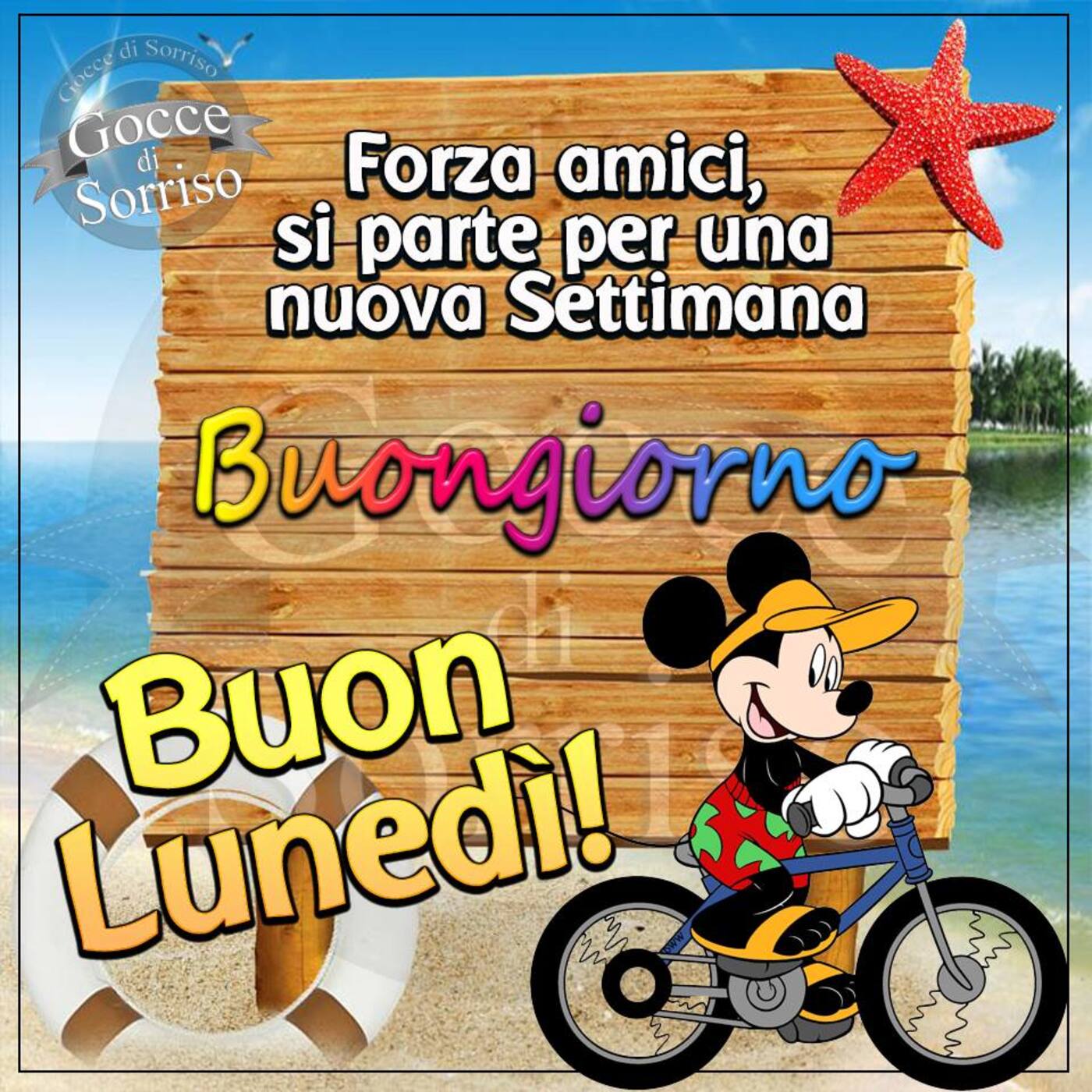 Forza amici si parte per una nuova settimana Buongiorno Buon Lunedì