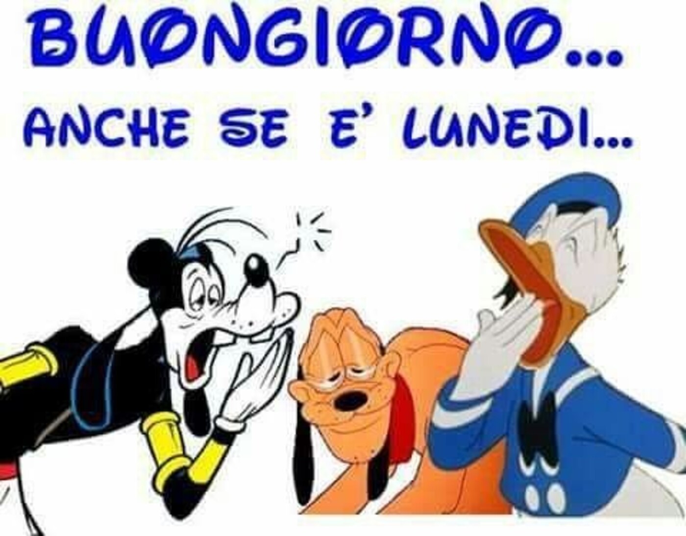 Buongiorno anche se è lunedì