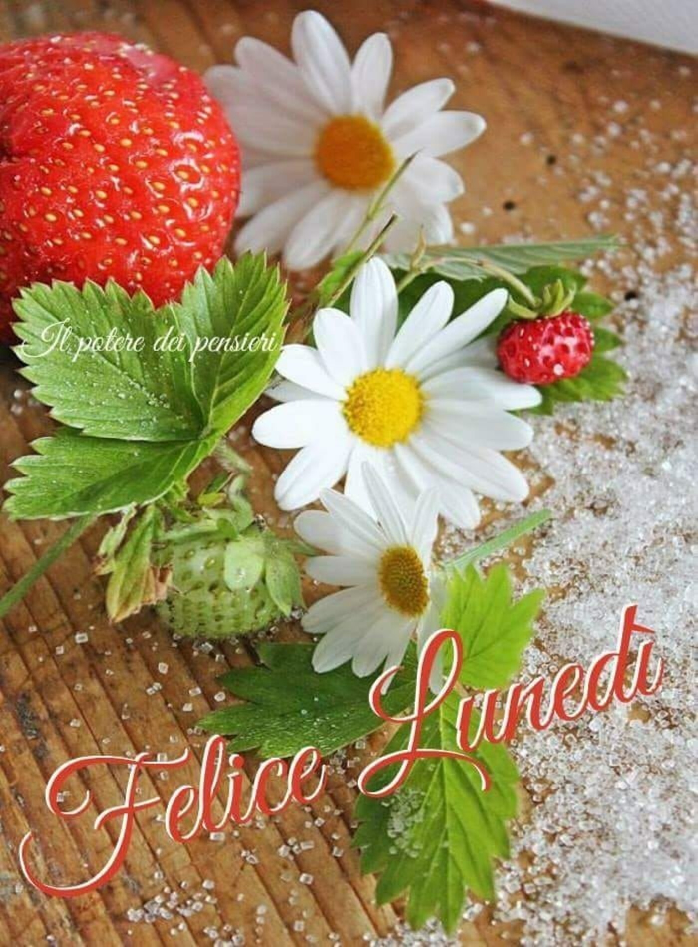 Felice Lunedì