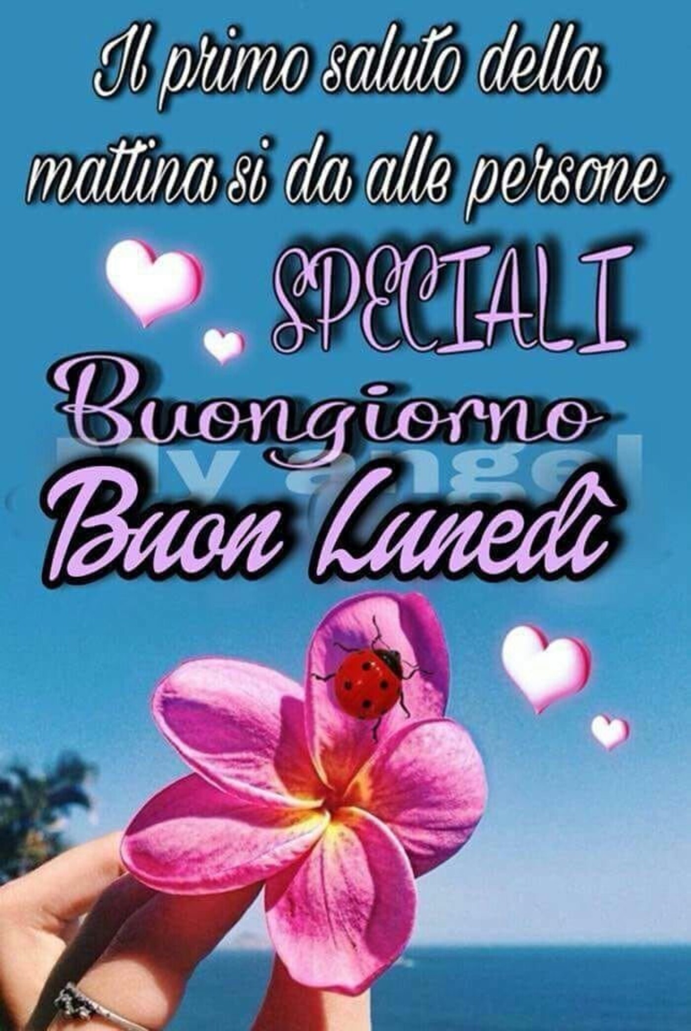 Il primo saluto della mattina si da alle persone speciali Buongiorno Buon Lunedì