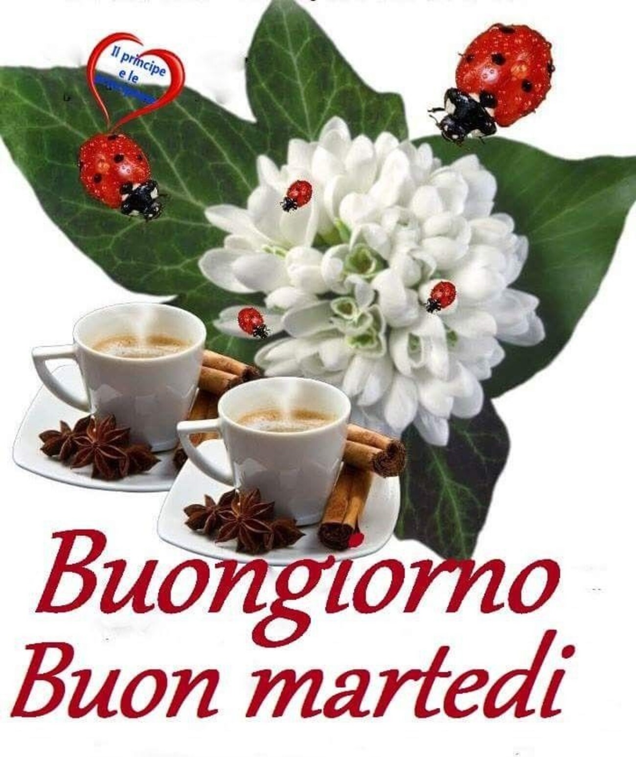 208+ Buon Martedì serena giornata a tutti gli amici Pagina 12 di 21