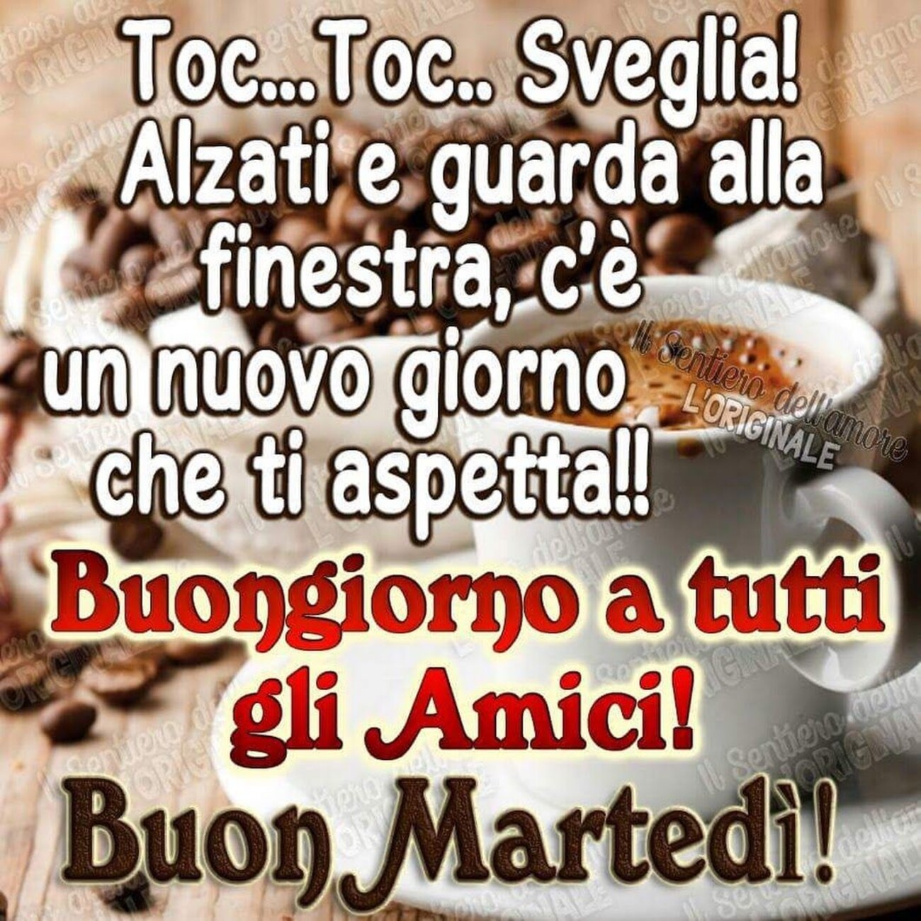 Toc...Toc...Sveglia! Alzati e guarda alla finestra, c'è un nuovo giorno che ti aspetta!! Buongiorno a tutti gli amici! Buon Martedì