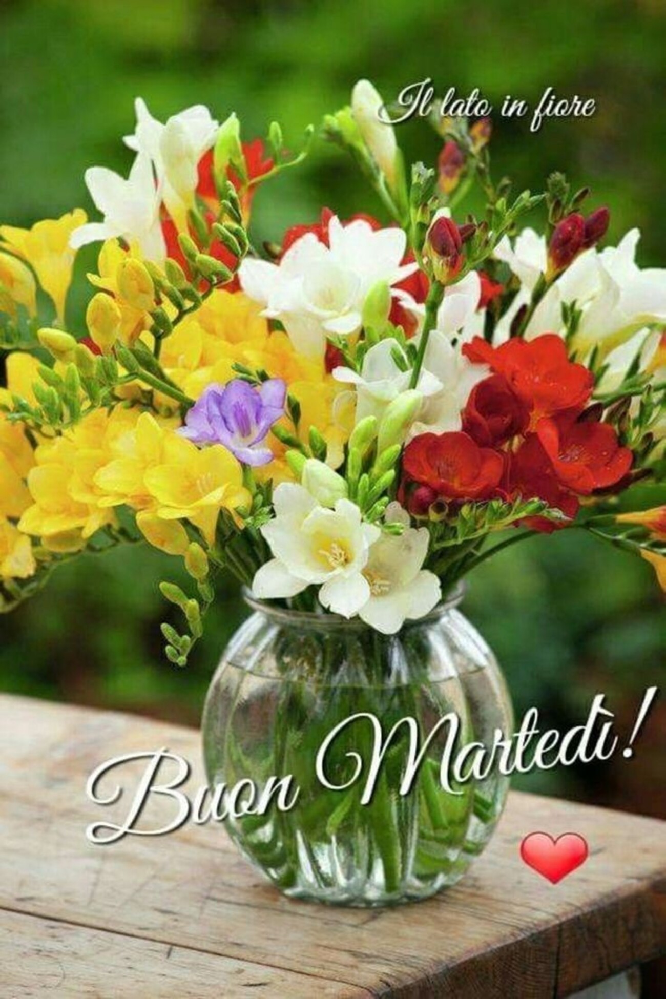 Buon Martedì
