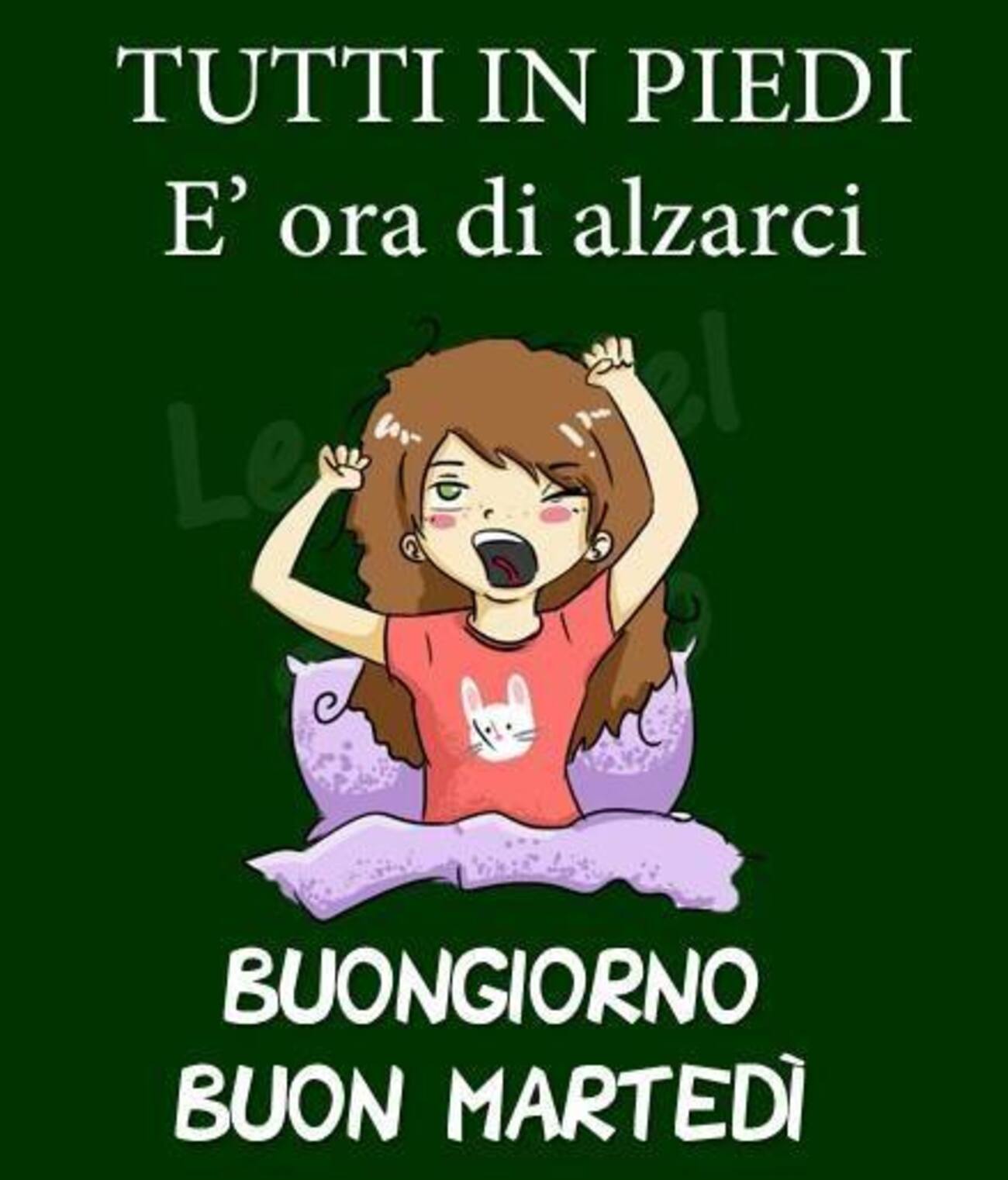 Tutti in piedi è ora di alzarci Buongiorno Buon Martedì