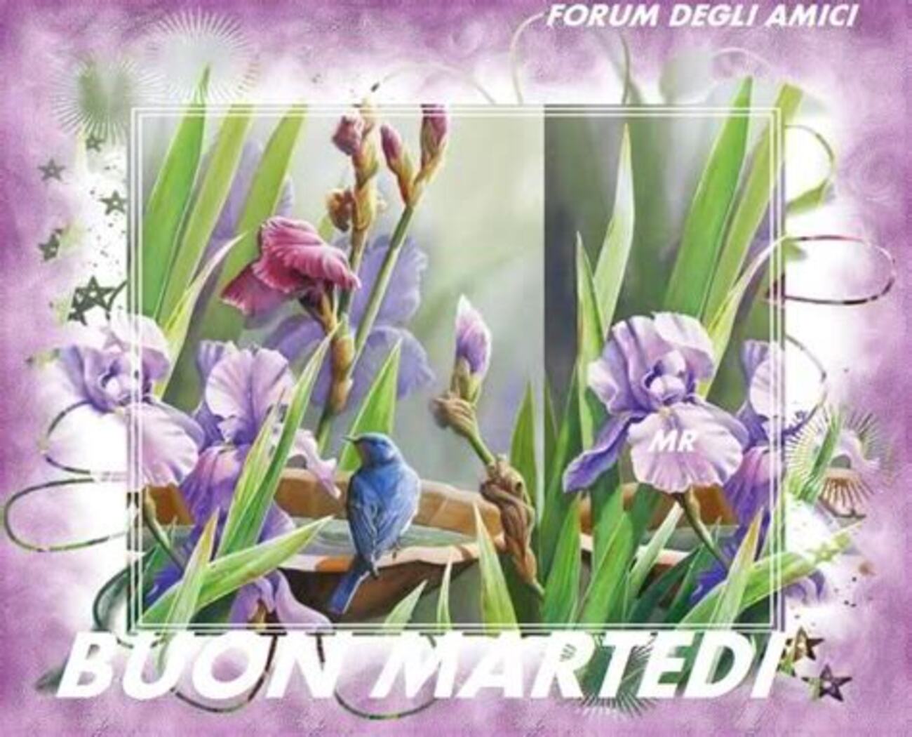 Buon Martedì