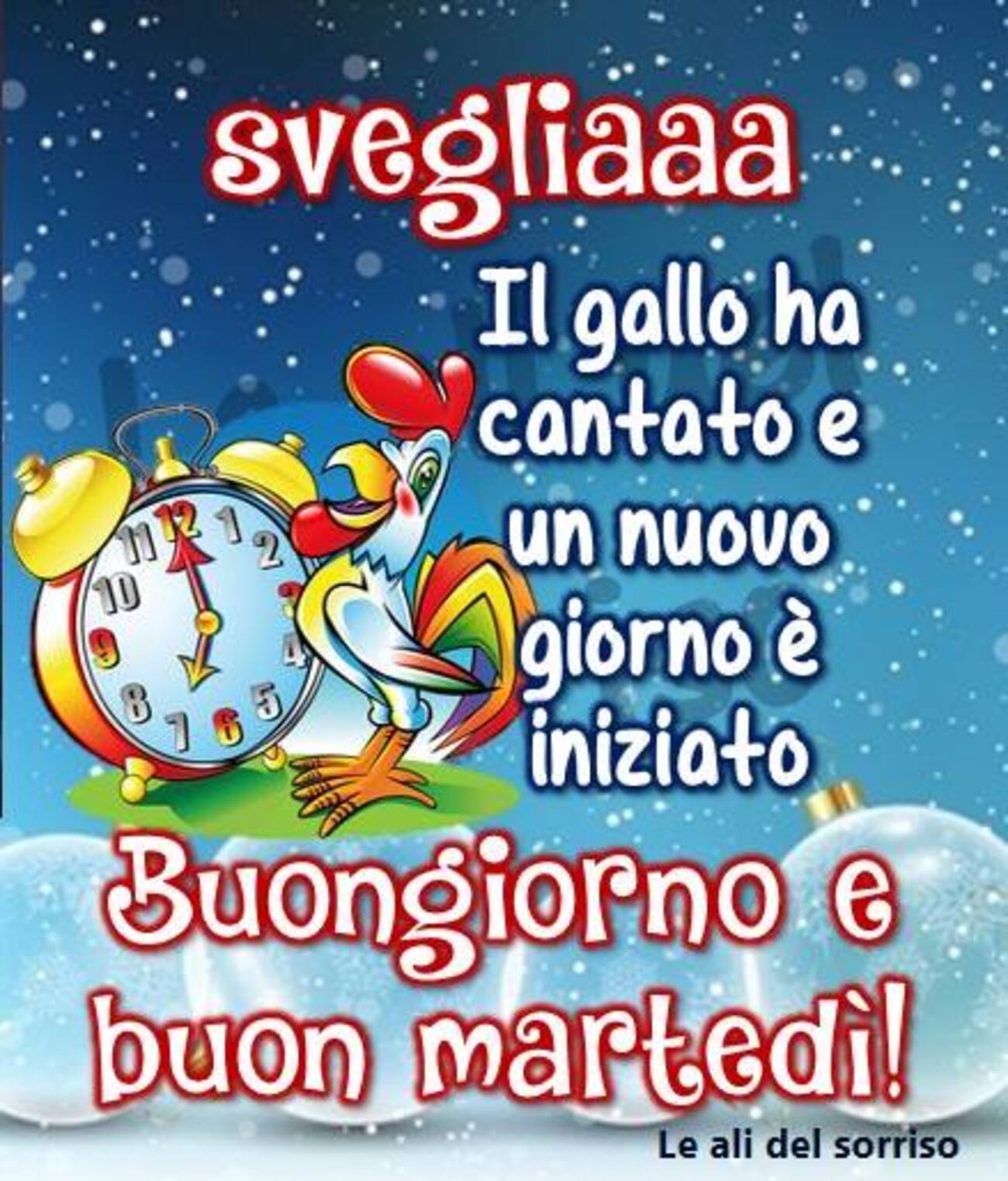 Svegliaaaa il gallo ha cantato e un nuovo giorno è iniziato Buongiorno e buon martedì
