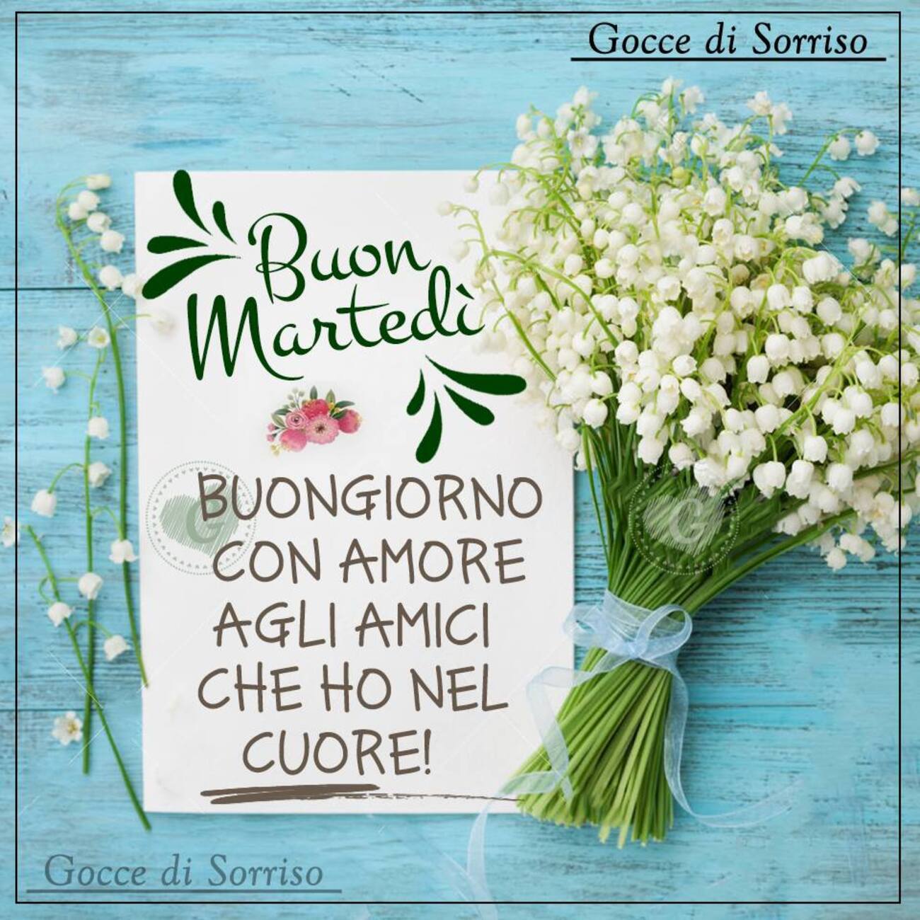 Buon Martedì buongiorno con amore agli amici che ho nel cuore