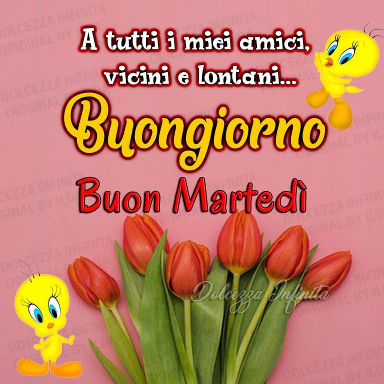 A tutti i miei amici vicini e lontani...Buongiorno Buon Martedì