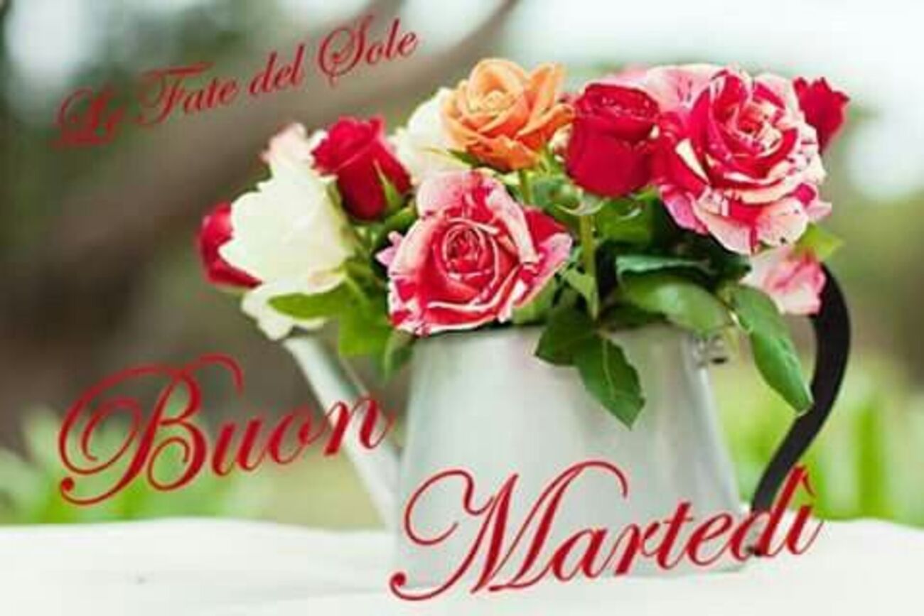 Buon Martedì